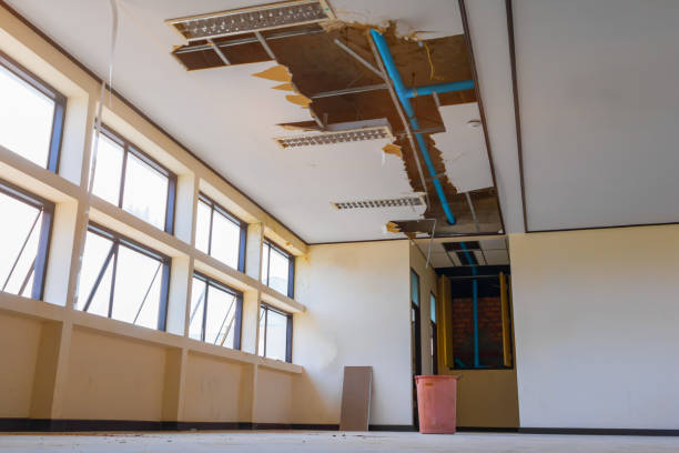 Best Fire Damage Restoration  in Parshall, ND