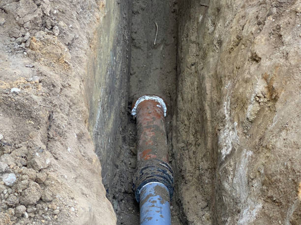 Best Local water damage restoration  in Parshall, ND