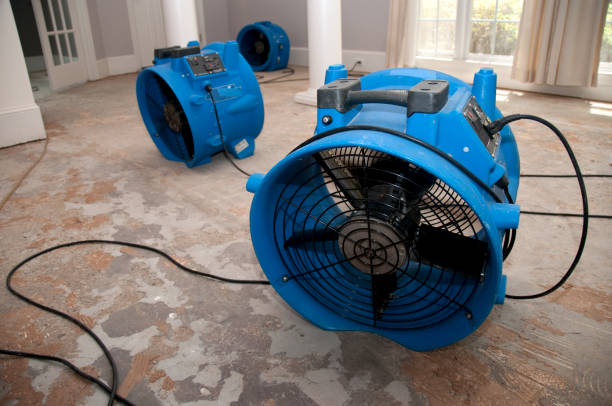 Best Sewage cleanup and water damage restoration  in Parshall, ND
