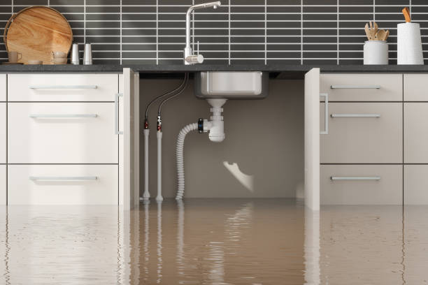 Best Basement water damage restoration  in Parshall, ND