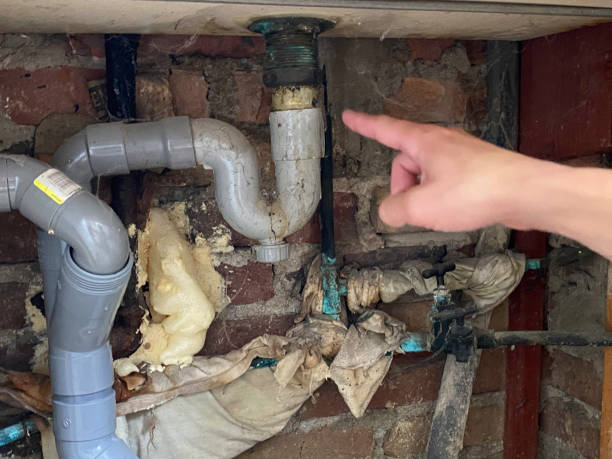 Best Fire Damage Restoration  in Parshall, ND