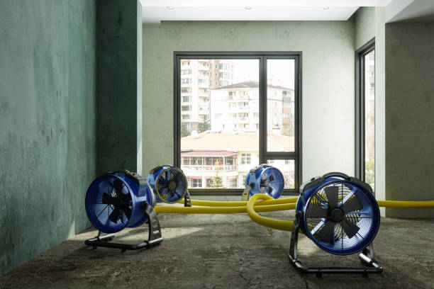 Best Water damage cleanup near me  in Parshall, ND